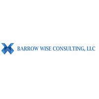 Barrow Wise Consulting logo